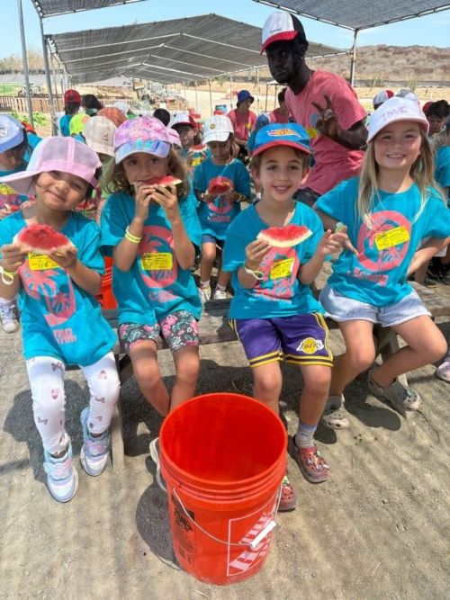 Why Our Summer Camps Are the Best in Orange County